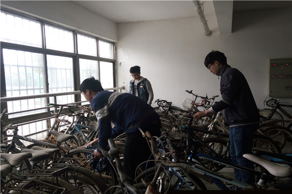 1志愿者们整理自行车.jpg